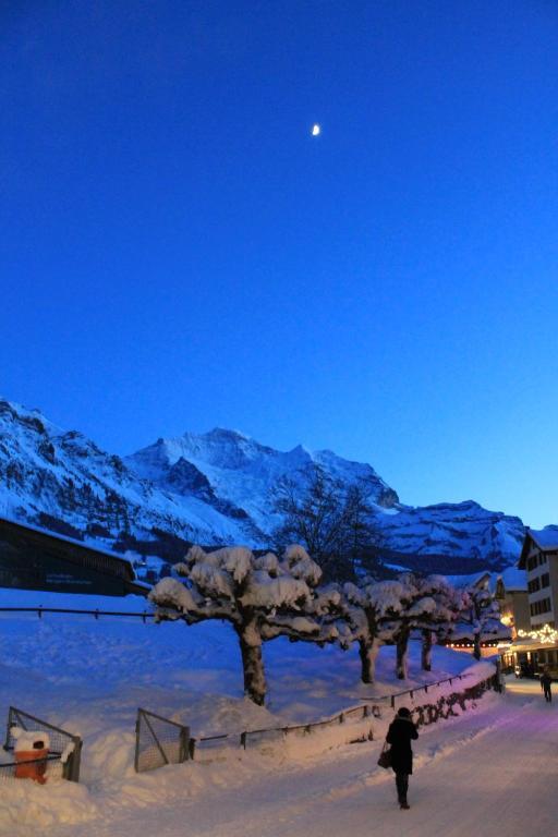 Aparthotel Résidence Bernerhof Wengen Exterior foto